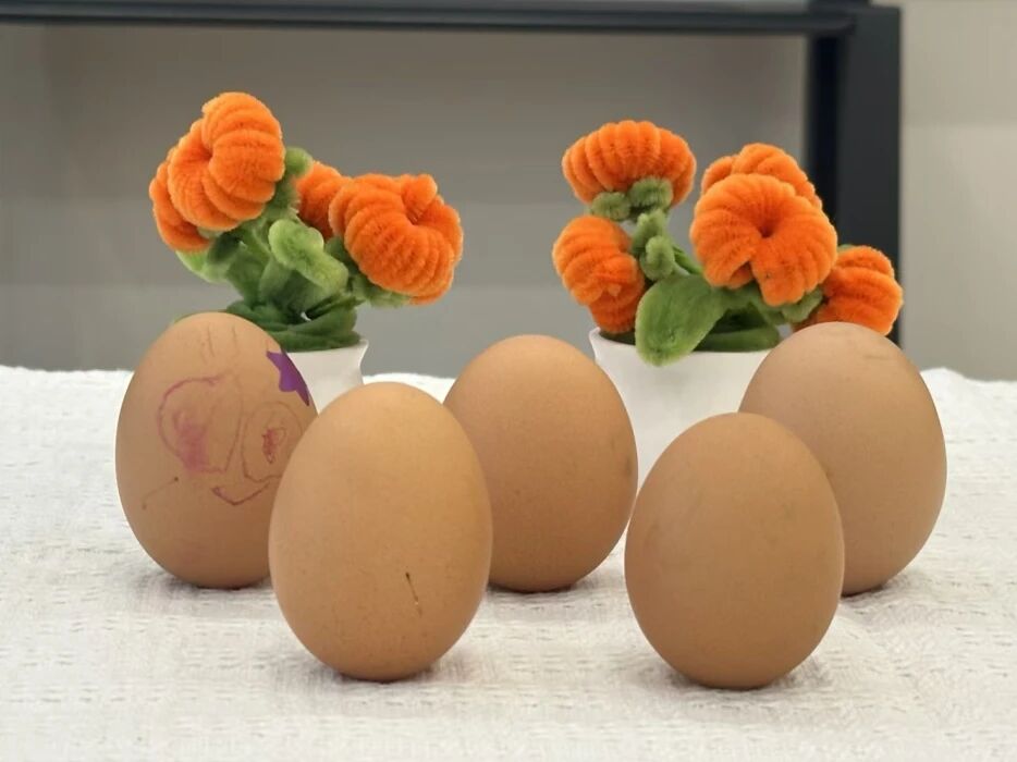 秋分到，蛋儿俏！和恩宝一起遇见最美秋天